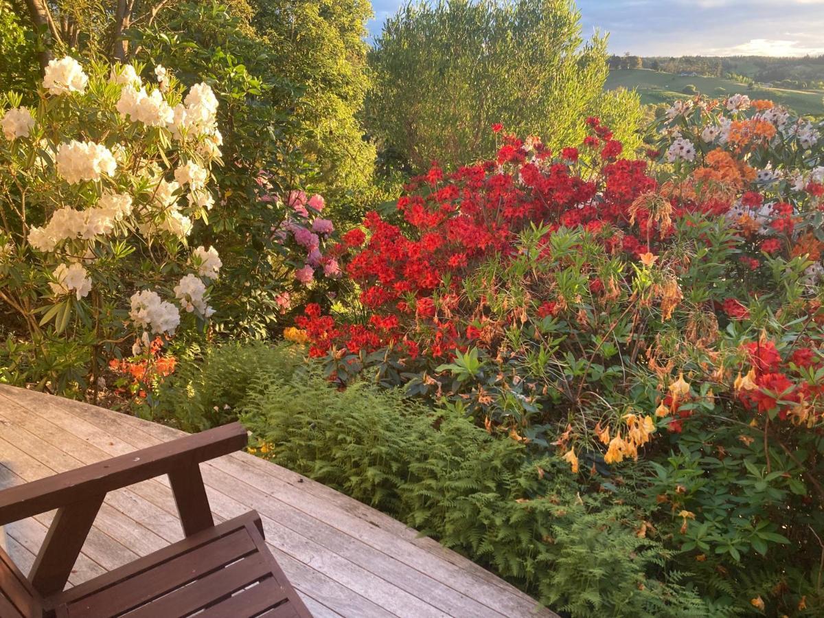 Bed and Breakfast 2 Views At Tasman Exterior foto